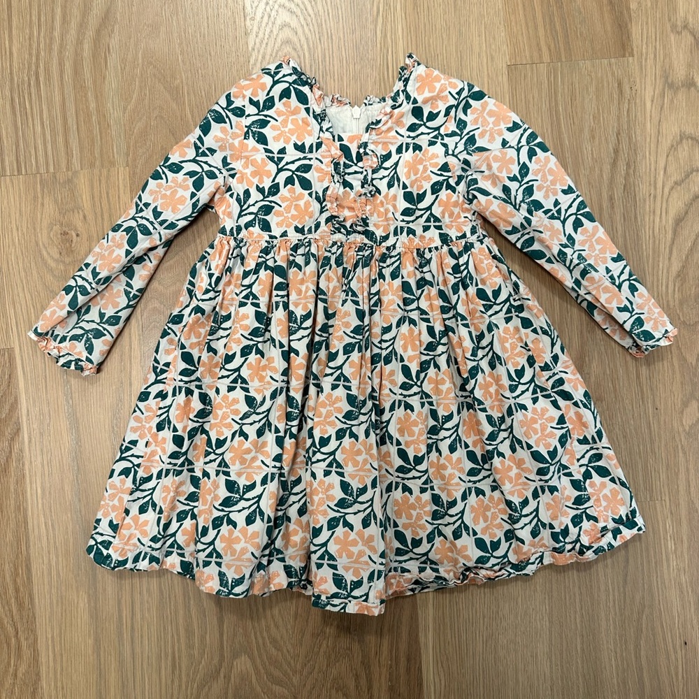 Pink Chicken Girls 3T Long Sleeve Floral Print Back Zip Dress